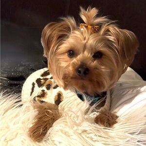 Meet your Posher, Mary